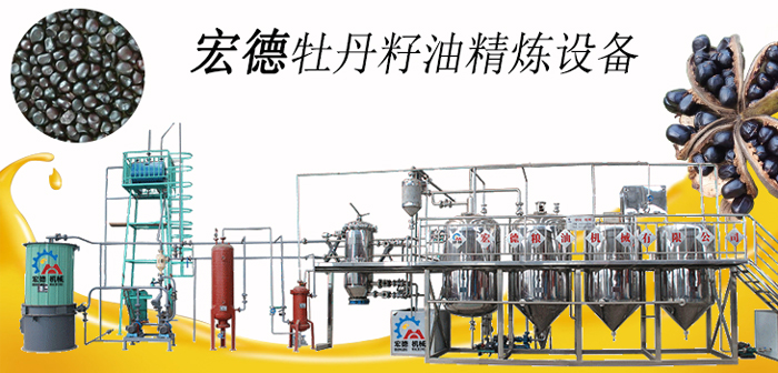 牡丹籽油精煉設備